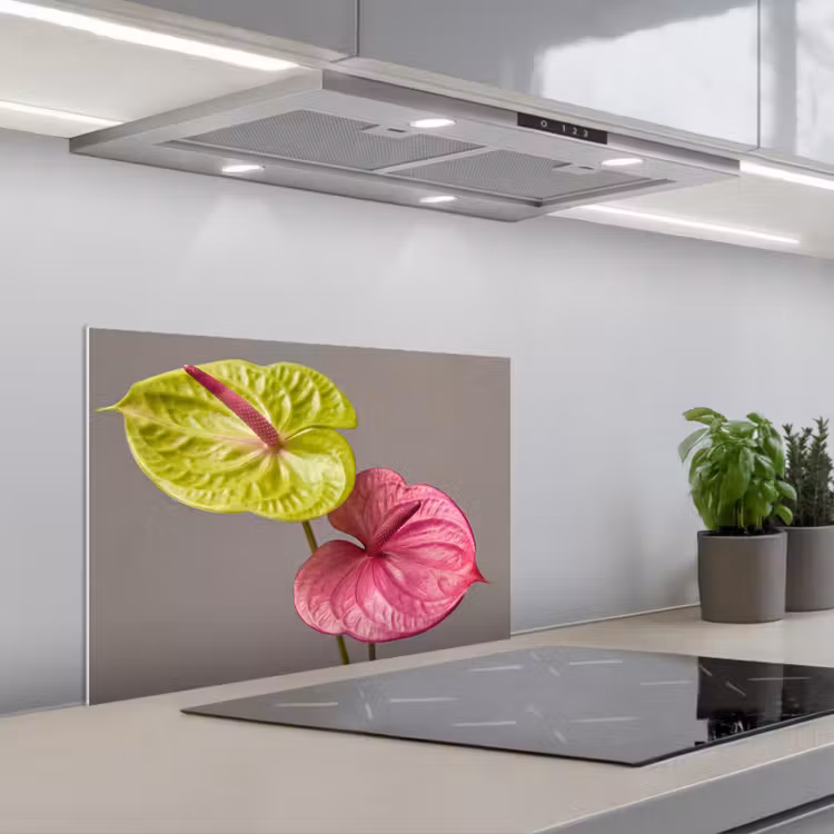 Salpicaderos de cocina - Plantas - Anthurium - Verde - Rosa — 1