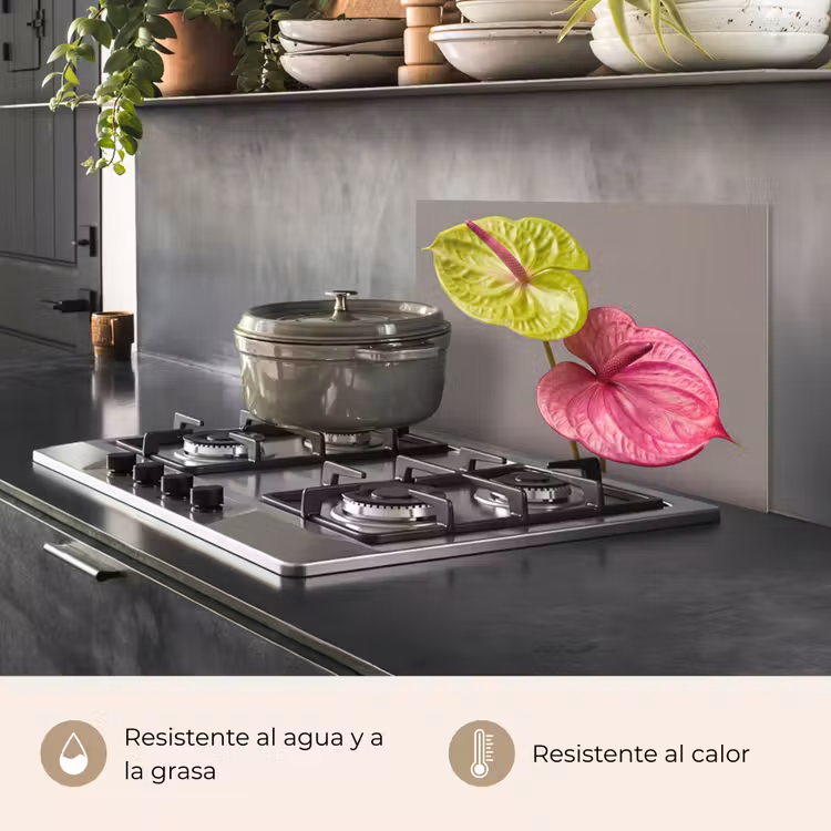 Salpicaderos de cocina - Plantas - Anthurium - Verde - Rosa — 2