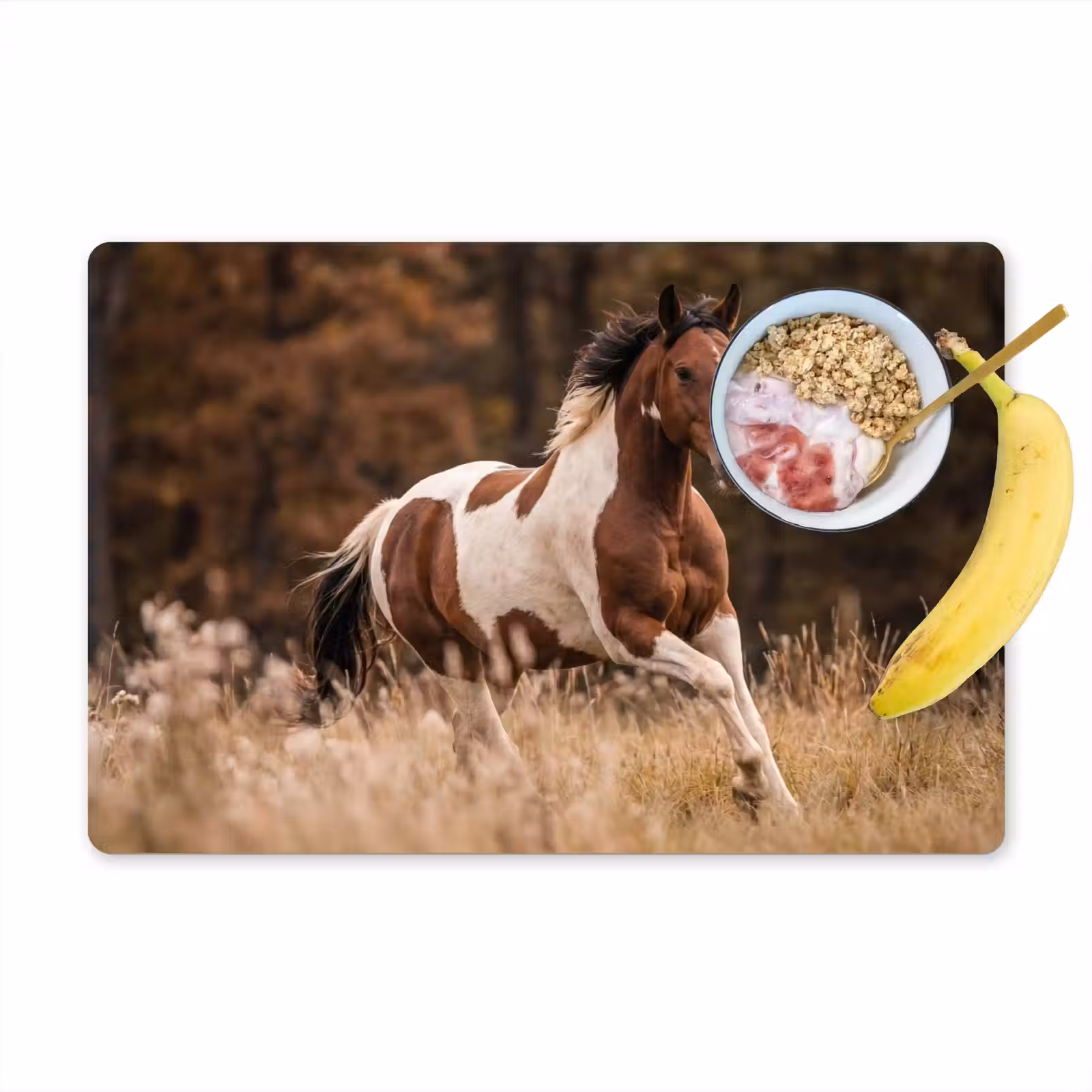 Salvamantel – 6 piezas - Caballo - Marrón - Hierba — 1