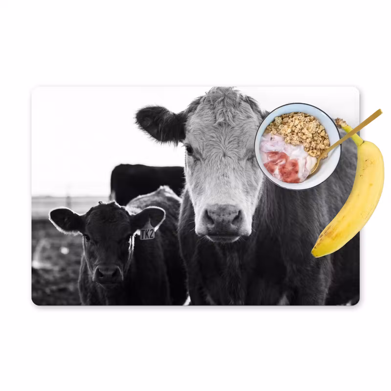 Salvamantel – 6 piezas - Vacas - Blanco y negro — 1