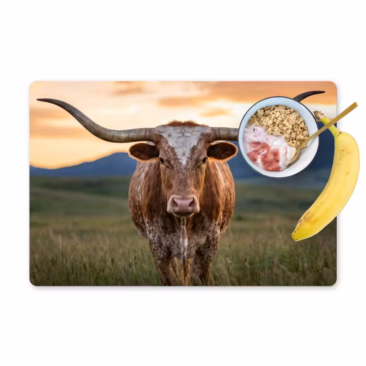 Salvamantel – 6 piezas - Longhorn - Paisaje - Puesta de sol — 1