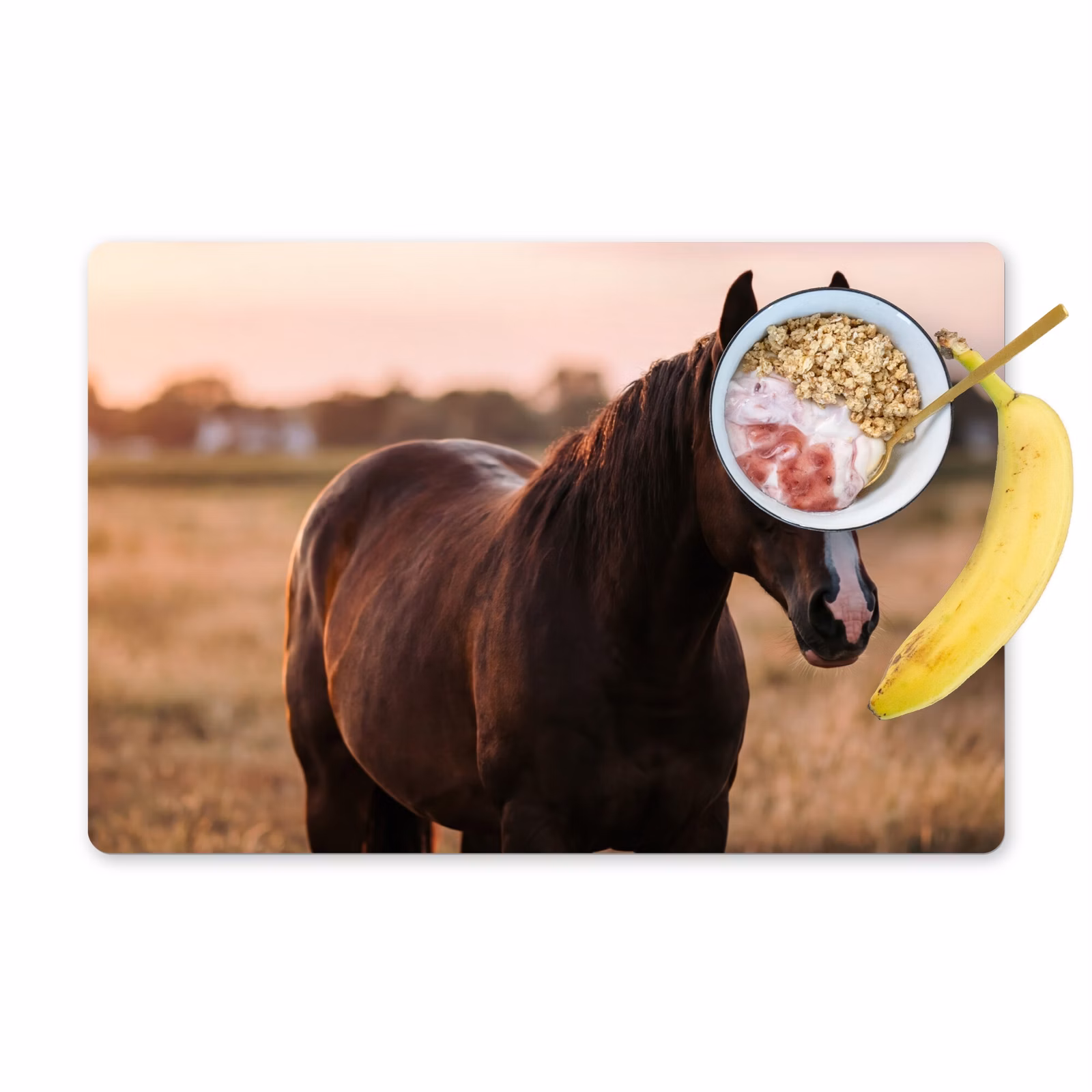 Salvamantel – 6 piezas - Caballo - Atardecer - Marrón — 1