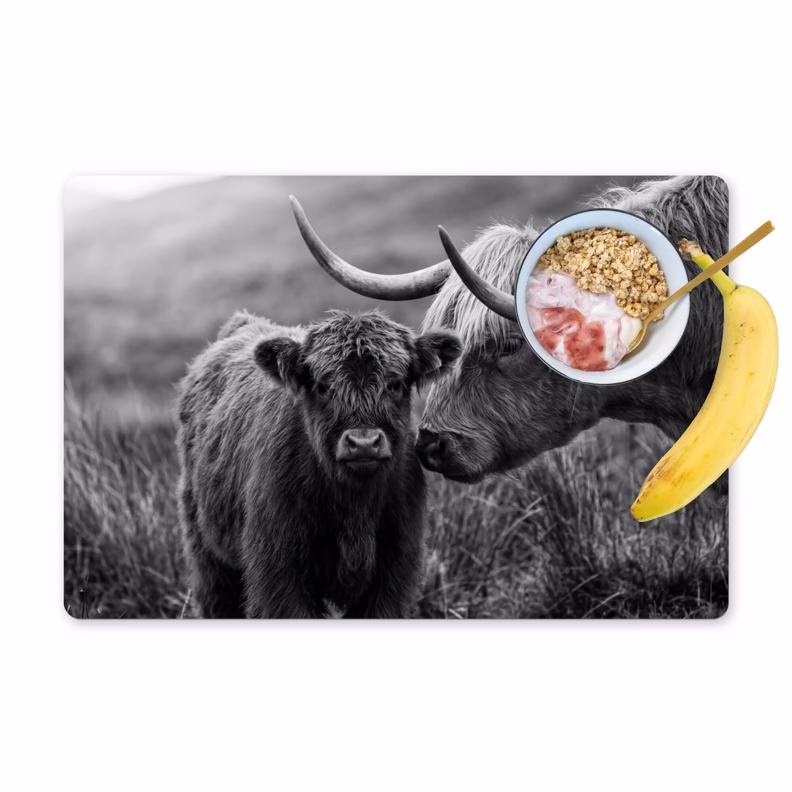 Salvamantel – 6 piezas - Highlander escocés - Becerro - Negro - Blanco — 1