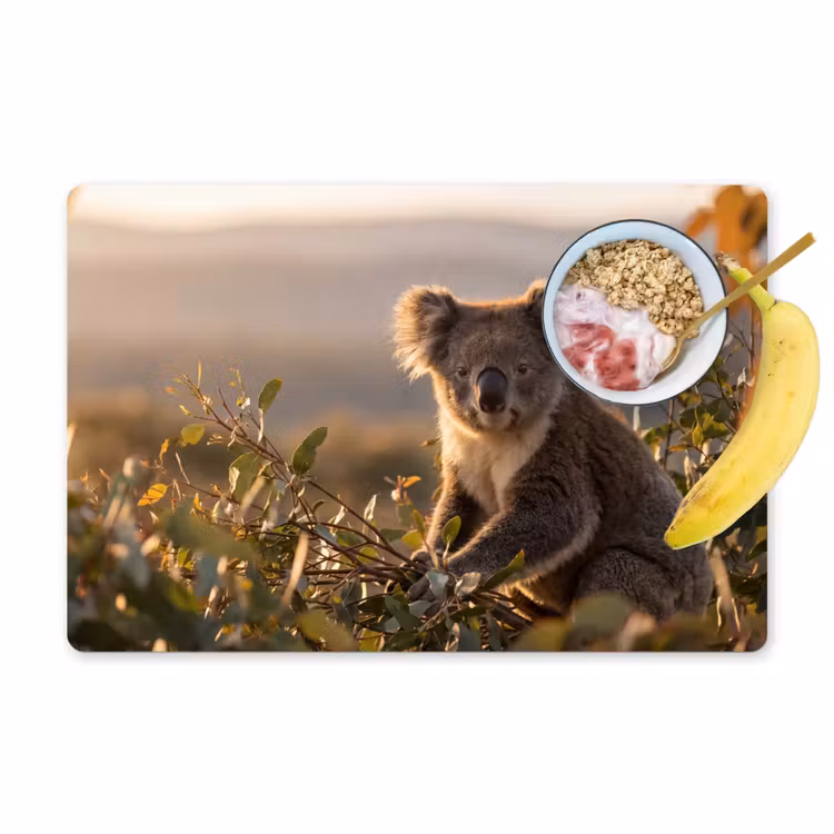 Salvamantel – 6 piezas - Koala - Hojas - Luz matinal — 1