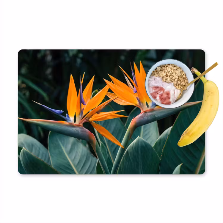 Salvamantel – 6 piezas - Ave del paraíso - Flor - Exótico — 1