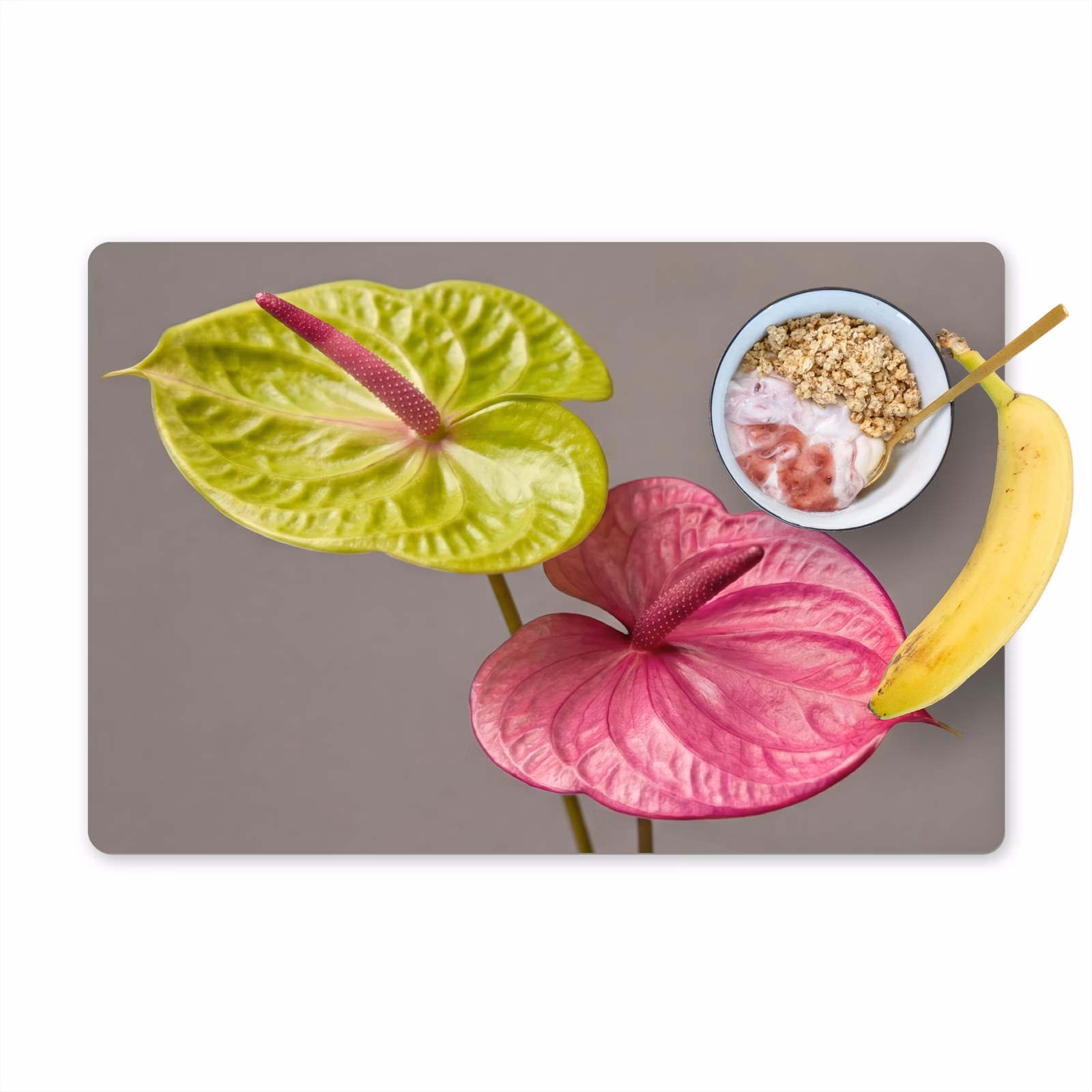 Salvamantel – 6 piezas - Plantas - Anthurium - Verde - Rosa — 1