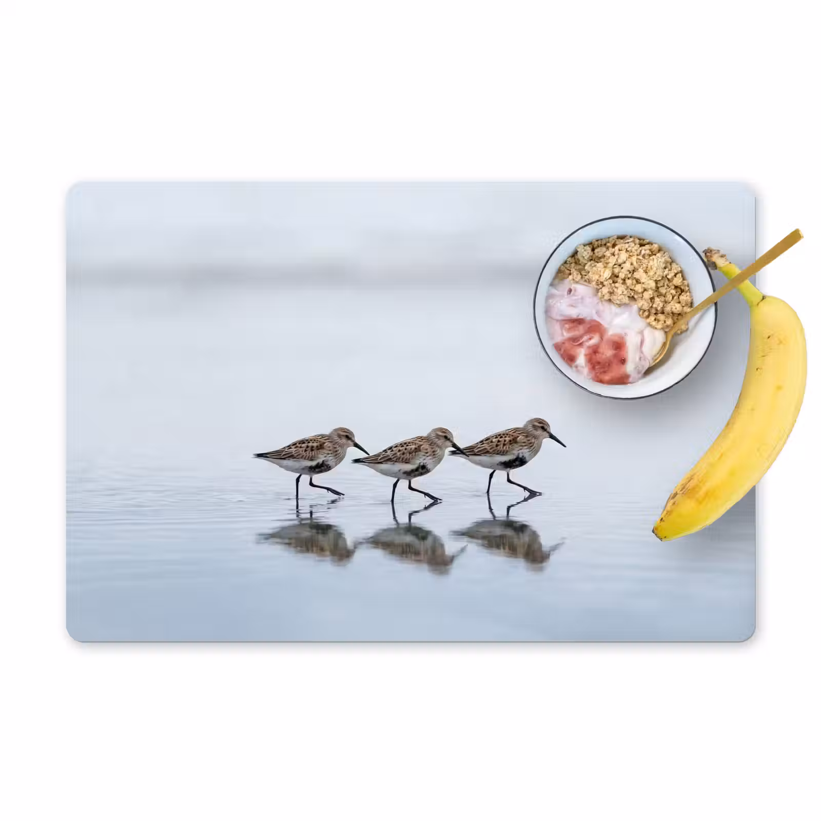 Salvamantel – 6 piezas - Pájaros - Agua - Gris — 1