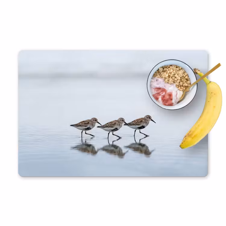 Salvamantel – 6 piezas - Pájaros - Agua - Gris — 1