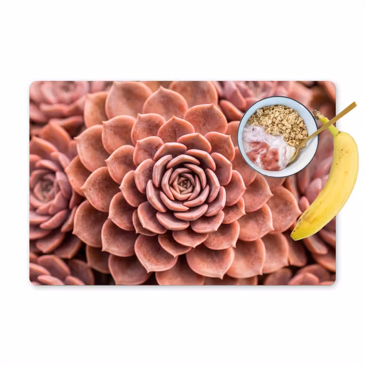 Salvamantel – 6 piezas - Suculenta - Orgánica - Rosa — 1