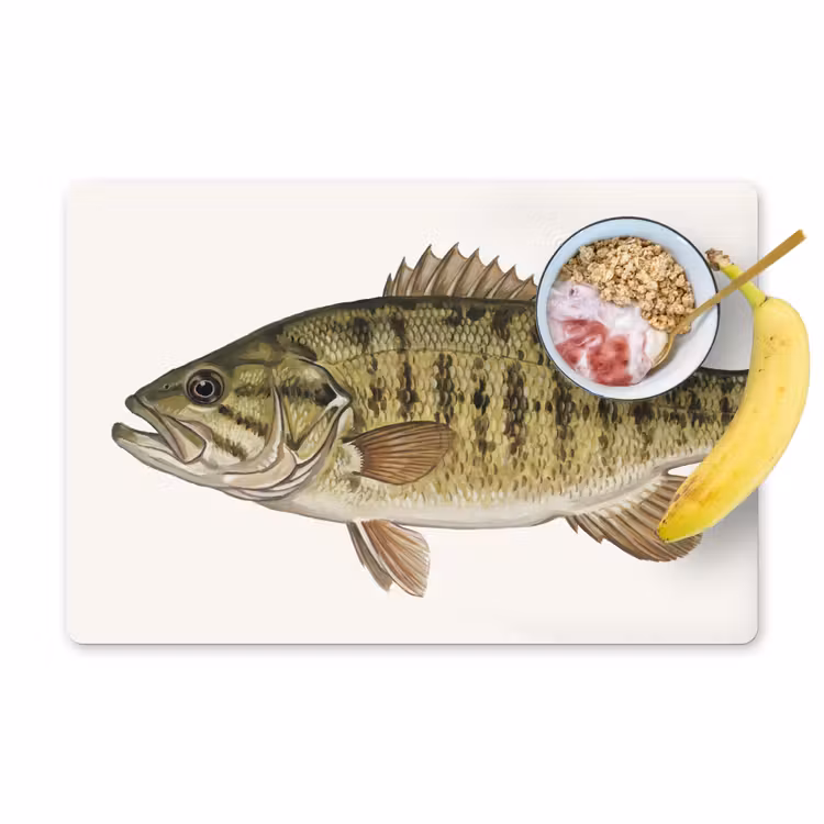 Salvamantel – 6 piezas - Peces - Naturaleza - Vintage — 1