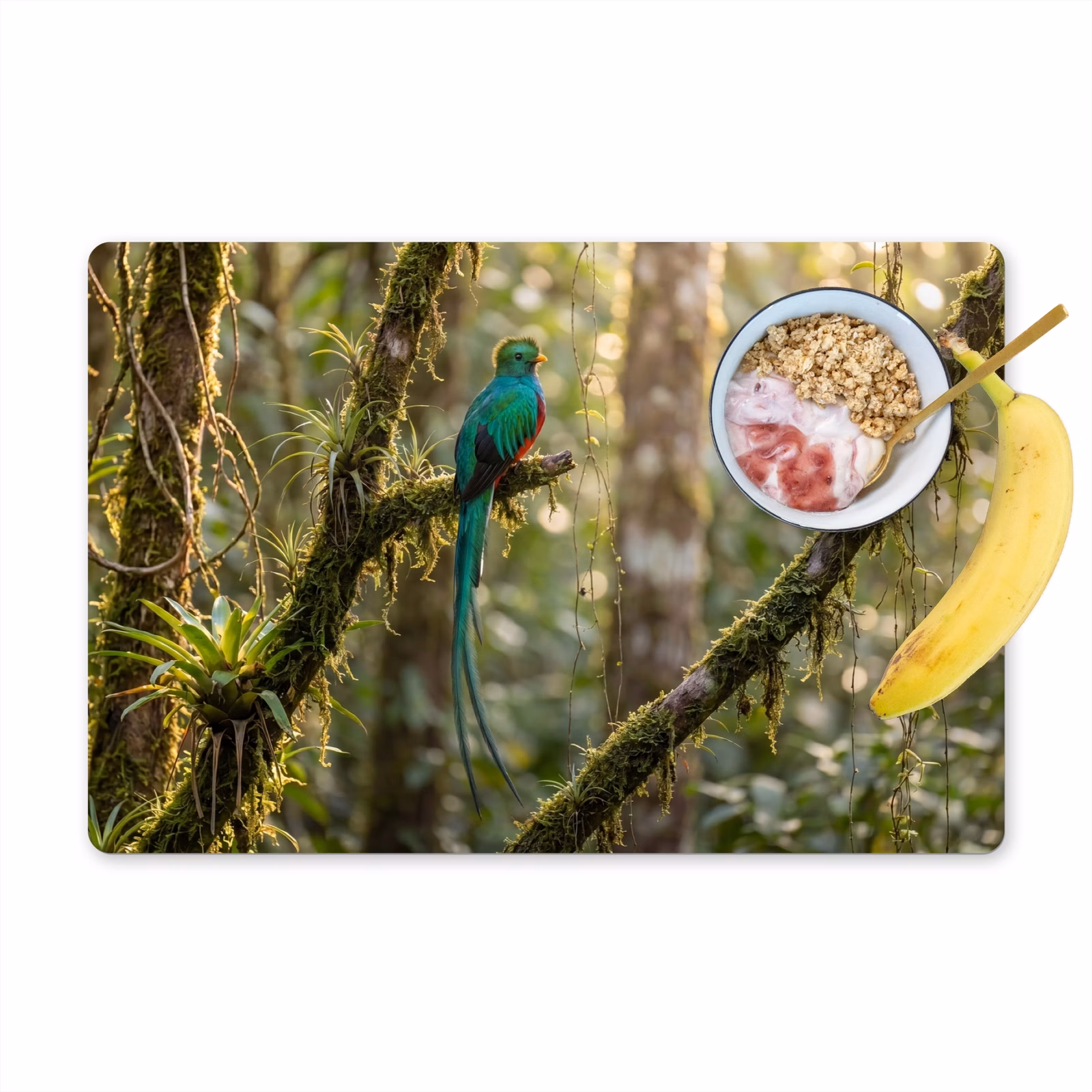 Salvamantel – 6 piezas - Quetzal - Selva - Naturaleza - Verde — 1