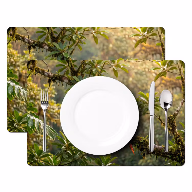 Salvamantel – 6 piezas - Ara - Selva - Rojo — 2