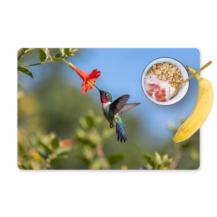 Salvamantel – 6 piezas - Colibrí - Flor - Naturaleza - Verde — 1