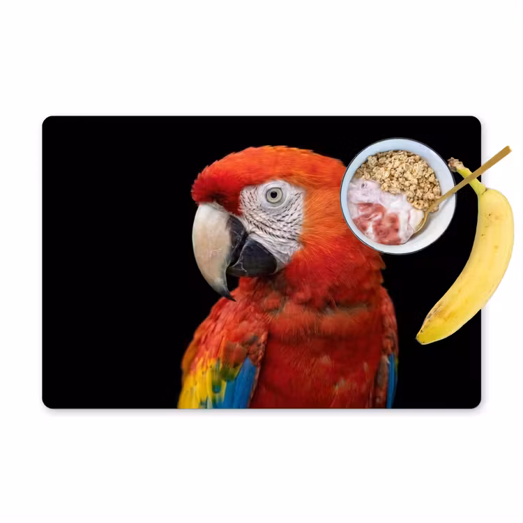 Salvamantel – 6 piezas - Guacamayo - Retrato - Rojo — 1