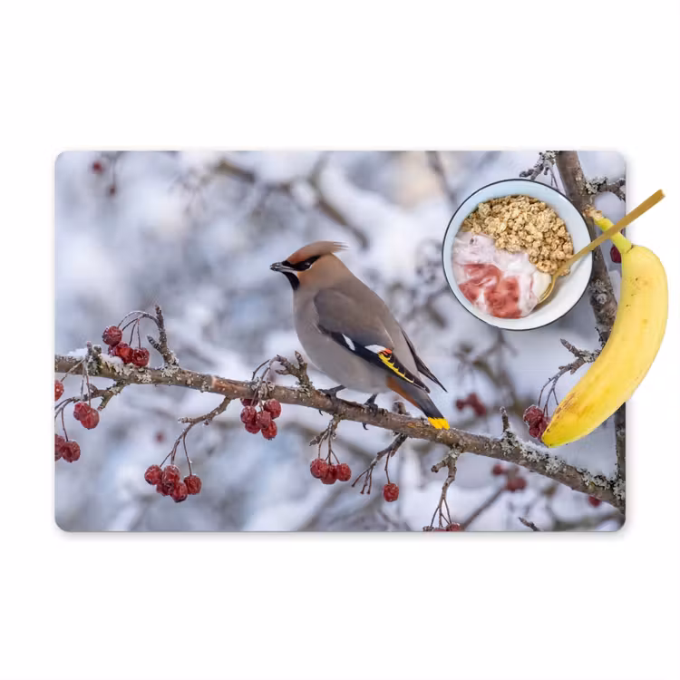 Salvamantel – 6 piezas - Lirón - Bayas - Invierno - Naturaleza — 1