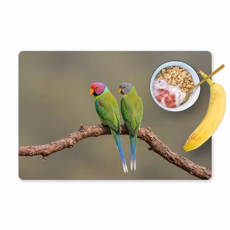 Salvamantel – 6 piezas - Loro - Rama - Naturaleza - Colorido — 1