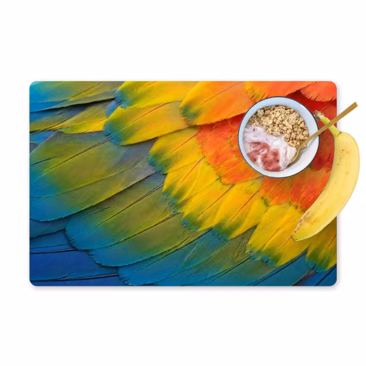 Salvamantel – 6 piezas - Plumas - Guacamayo - Colorido — 1