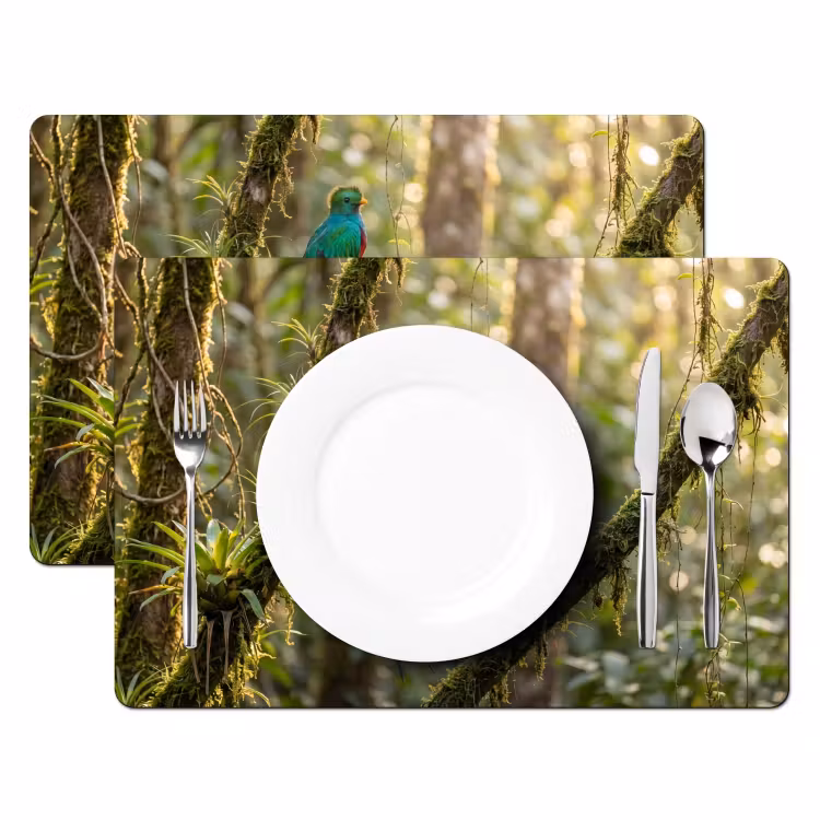 Salvamantel – 6 piezas - Quetzal - Selva - Naturaleza - Verde — 2