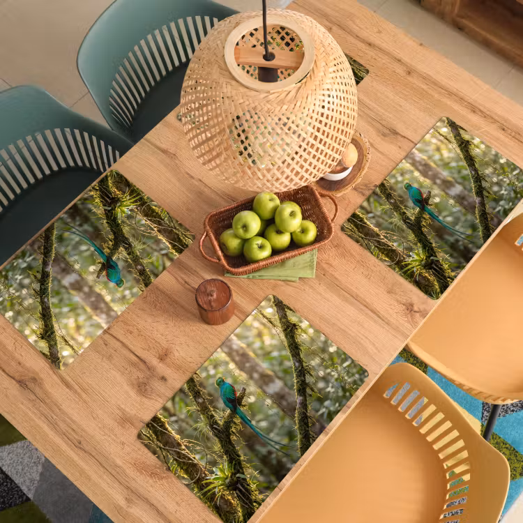 Salvamantel – 6 piezas - Quetzal - Selva - Naturaleza - Verde — 3