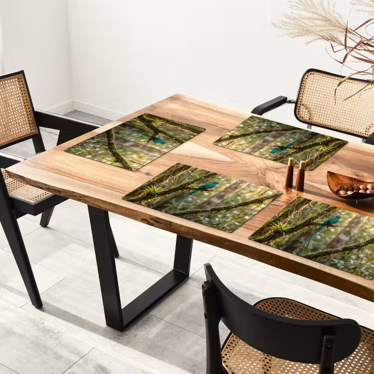 Salvamantel – 6 piezas - Quetzal - Selva - Naturaleza - Verde — 4