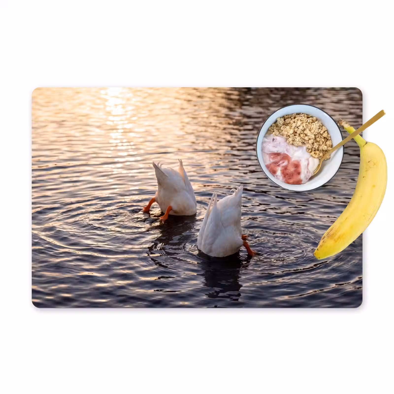 Salvamantel – 6 piezas - Patos - Agua - Naturaleza — 1