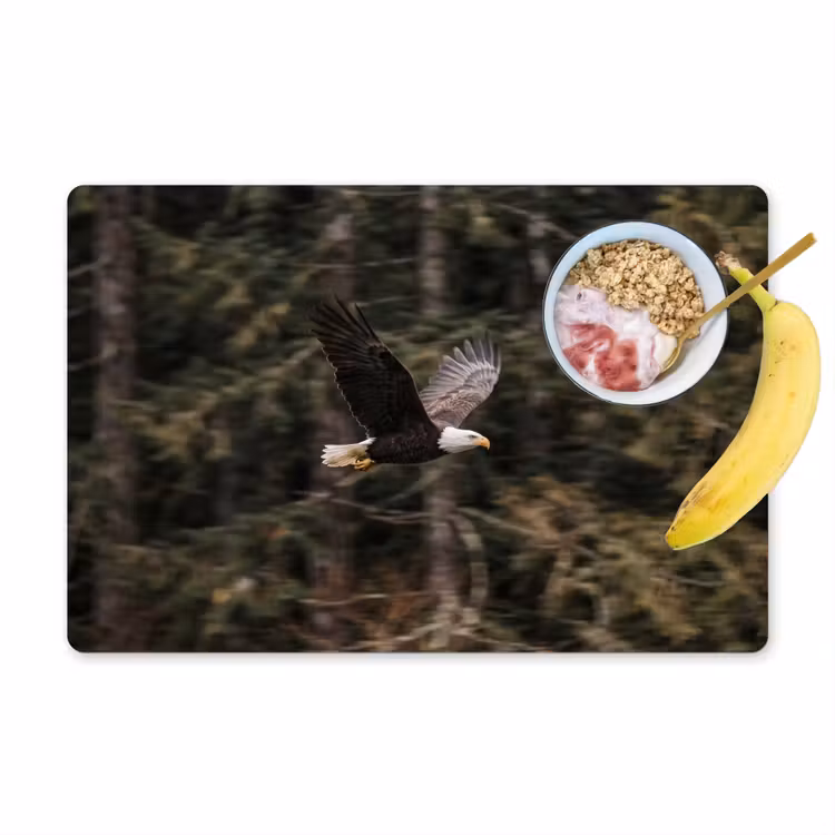 Salvamantel – 6 piezas - Águila calva - Volando - Bosque - Naturaleza — 1