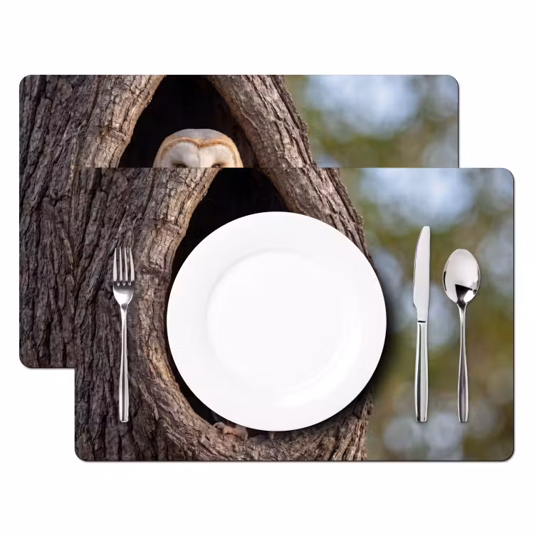 Salvamantel – 6 piezas - Lechuza - Árbol - Naturaleza - Marrón — 2