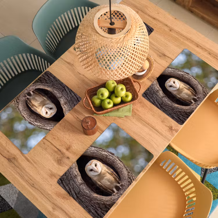 Salvamantel – 6 piezas - Lechuza - Árbol - Naturaleza - Marrón — 3