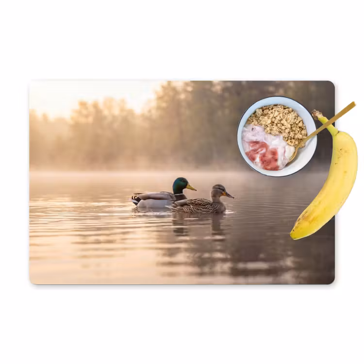 Salvamantel – 6 piezas - Patos - Agua - Niebla - Naturaleza — 1