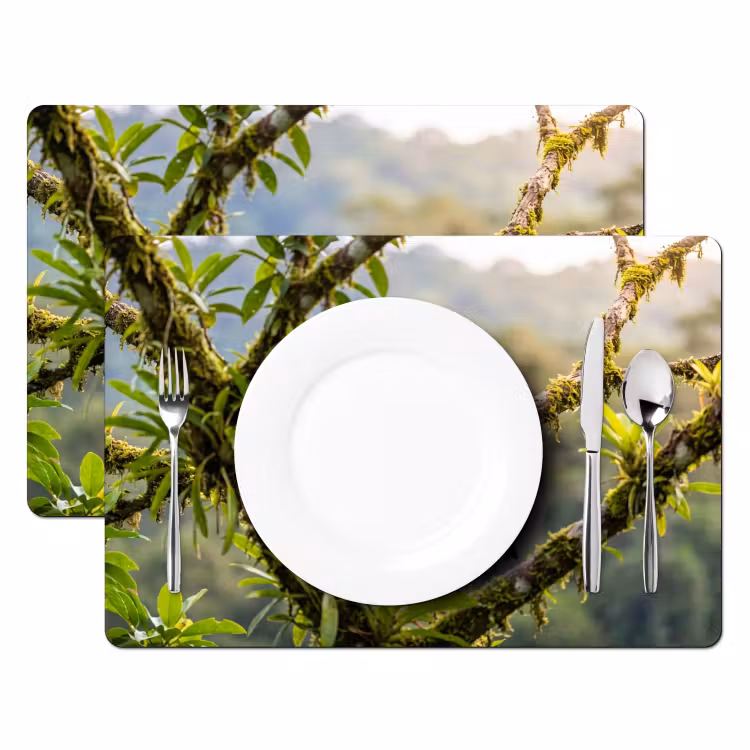 Salvamantel – 6 piezas - Tucán - Selva - Naturaleza - Colorido — 2
