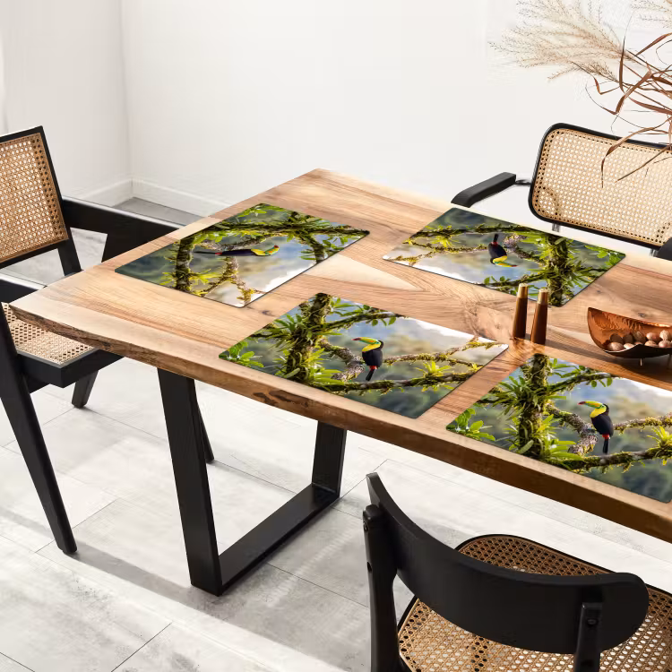 Salvamantel – 6 piezas - Tucán - Selva - Naturaleza - Colorido — 4