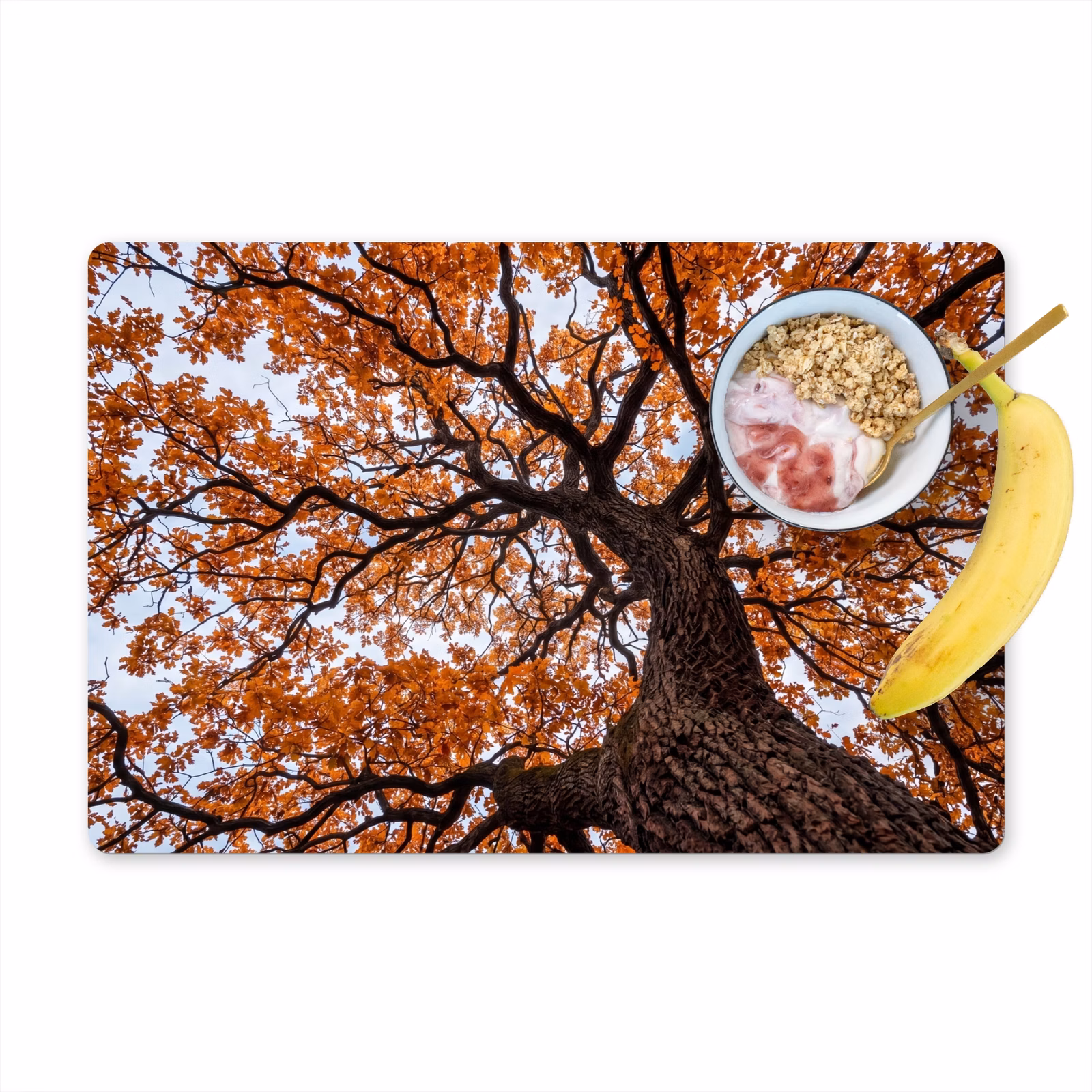 Salvamantel – 6 piezas - Árbol - Dosel - Otoño - Naranja - Atmosférico — 1