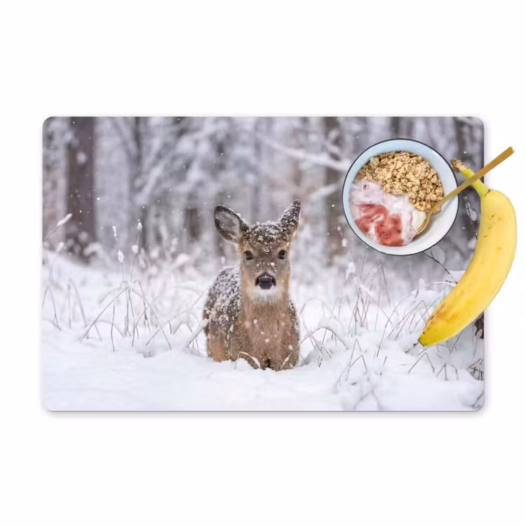Salvamantel – 6 piezas - Ciervo - Nieve - Bosque - Animales - Adorable — 1