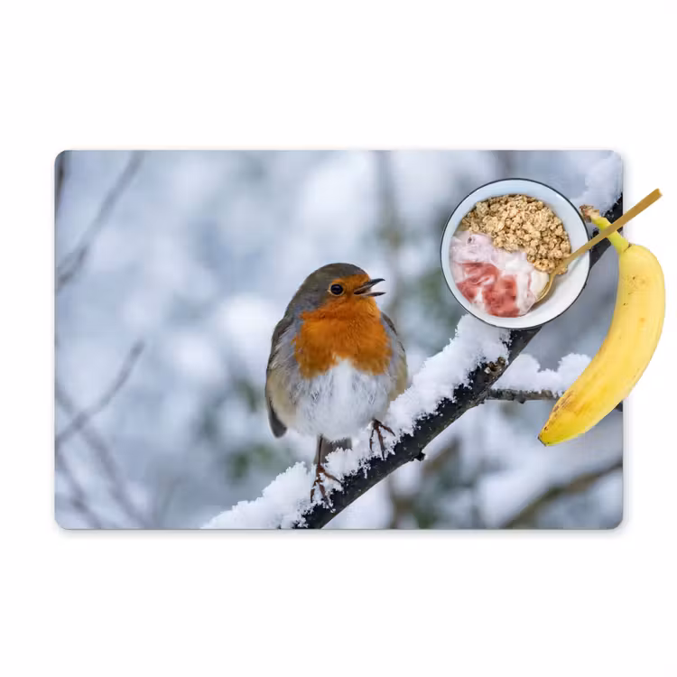 Salvamantel – 6 piezas - Petirrojo - Rama - Nieve - Invierno - Animado — 1