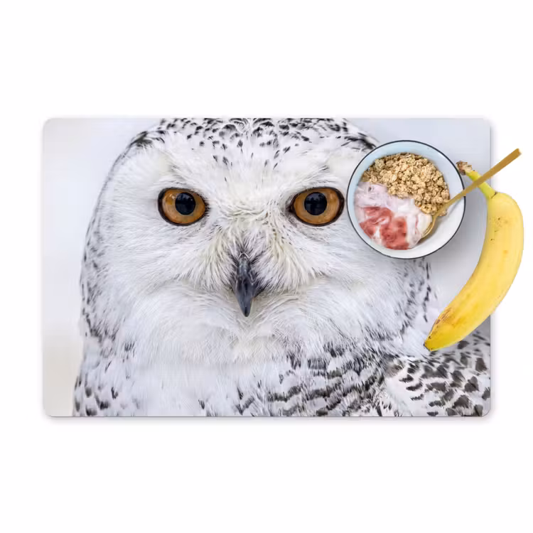 Salvamantel – 6 piezas - Búho nival - Ojo - Fauna - Blanco — 1