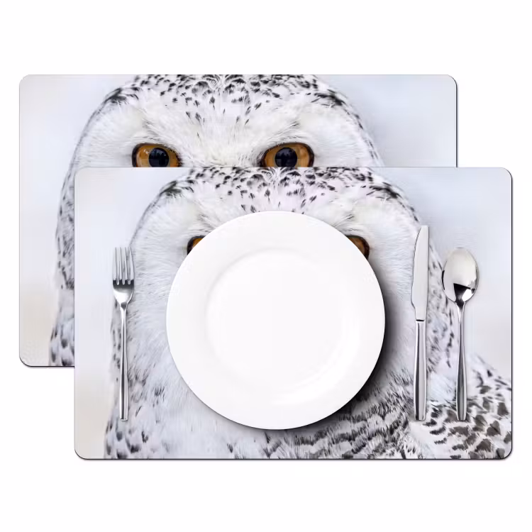 Salvamantel – 6 piezas - Búho nival - Ojo - Fauna - Blanco — 2