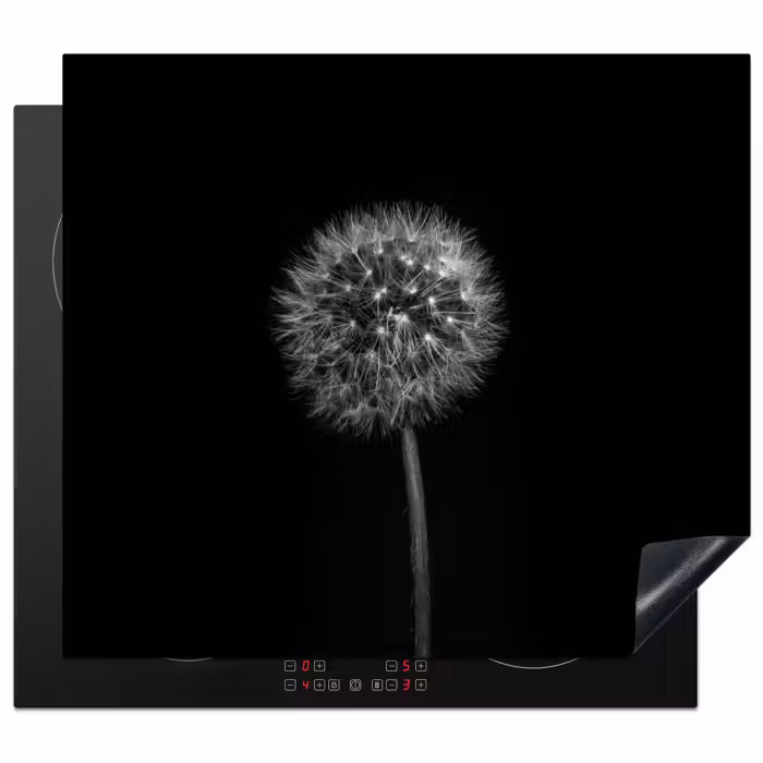 Protector de inducción - Notte stellata da Dandelion