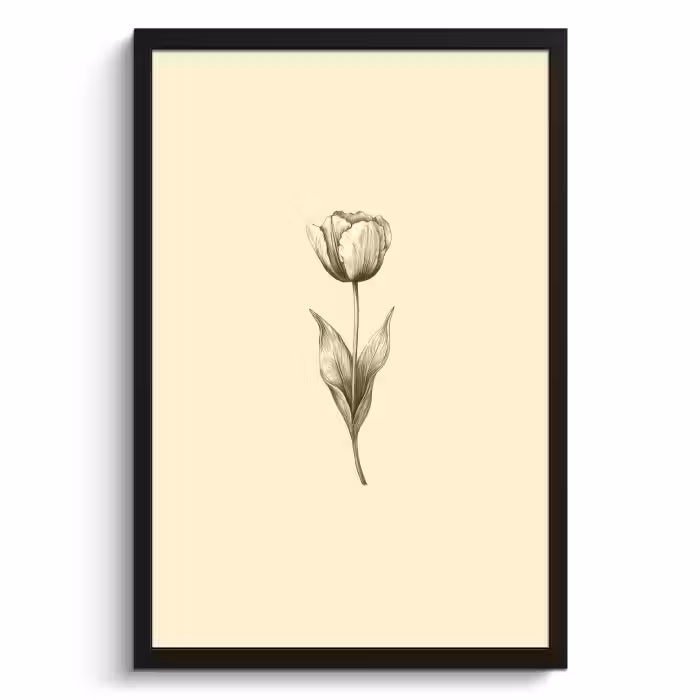 Cuadros enmarcados - Ilustración - Tulipán - Negro