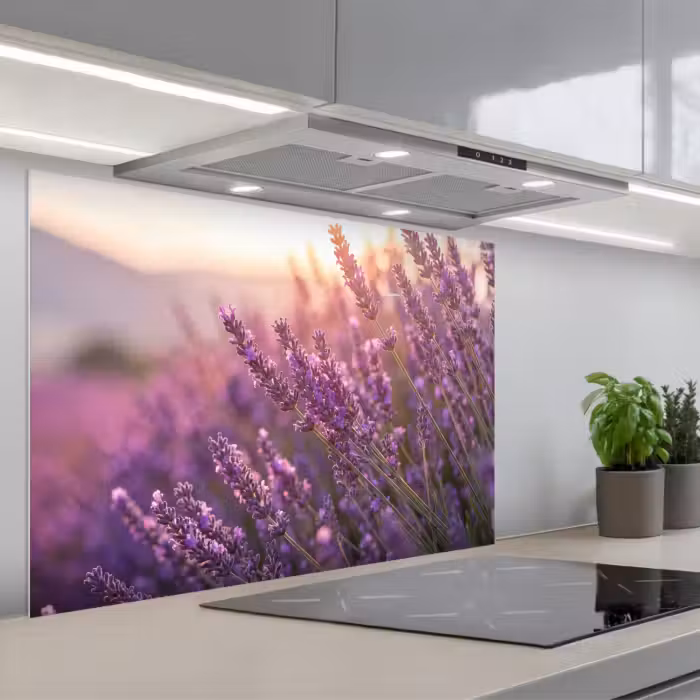 Salpicaderos de cocina - Lavanda - Violeta - Luz solar