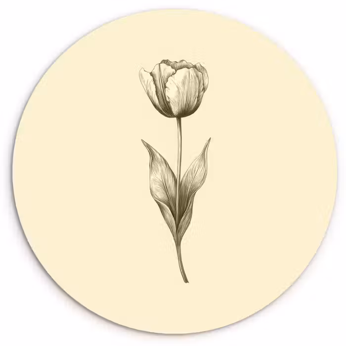 Cuadro redondo - Ilustración - Tulipán - Negro
